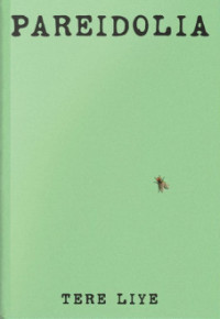 Image of Pareidolia